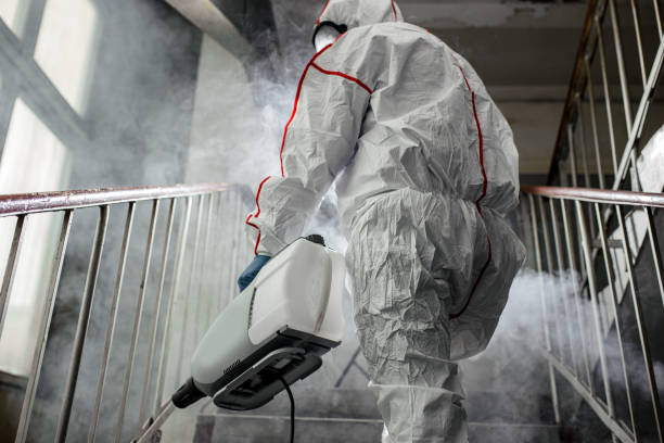 Best Comprehensive Air Testing for Mold Contaminants  in Rio Rancho, NM